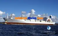 Ọkọ̀ tí wọn fi maa ń gbé ohun èlò tí ó ní ìdáná fún tà
