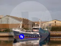 Ọkọ̀ tí ó mú ẹja fún tà
