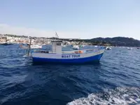 Ọkọ̀ tí ó mú ẹja fún tà