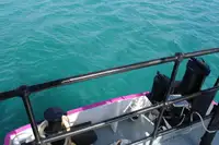 General Cargo/Multi-purpose fún tà