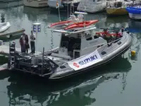 Patrol ọkọ fun tita