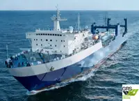 Ro-Ro ship fun tita