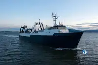 Trawler fun tita