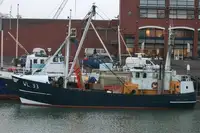 Trawler fun tita