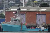 Trawler fun tita