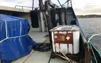 Ọkọ̀ tí ó mú ẹja fún tà