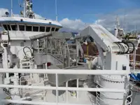 Ọkọ̀ tí ó mú ẹja fún tà