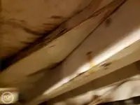 Ọkọ̀ Fẹrrí fún tà