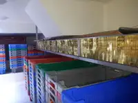 Ọkọ̀ tí ó mú ẹja fún tà
