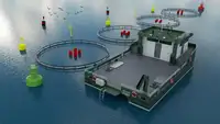 Catamaran fún tà