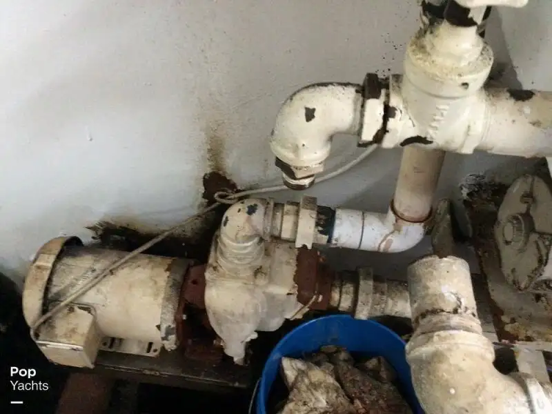 Ọkọ̀ tí ó mú ẹja fún tà