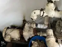 Ọkọ̀ tí ó mú ẹja fún tà