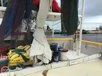 Ọkọ̀ tí ó mú ẹja fún tà