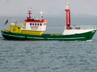 Patrol ọkọ fun tita