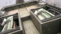 Ọkọ omi ti o fa fún tà