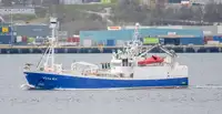 Purse seiner fun tita
