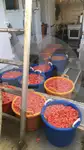 Ọkọ̀ tí ó mú ẹja fún tà