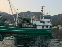 Ọkọ̀ tí ó mú ẹja fún tà