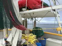 Ọkọ̀ tí ó mú ẹja fún tà