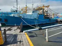 Trawler fun tita