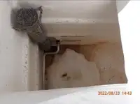 Ọkọ̀ tí ó mú ẹja fún tà