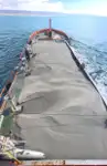 Ọkọ̀ ojú omi tí ó mú àwọn ìkọ́kọ̀ fún tà
