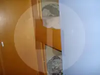 Ọkọ̀ tí ó mú ẹja fún tà