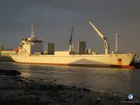 Reefer ọkọ fun tita