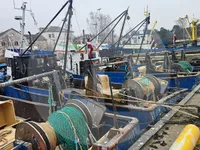 Ọkọ̀ ojú omì fún iṣẹ́ gbigbé àwọn ẹja fún tà