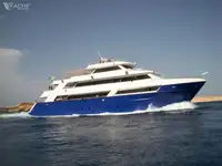 Dive support fun tita