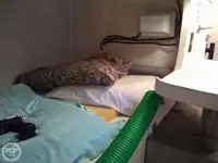 Ọkọ̀ ojú omi kékeré fún tà
