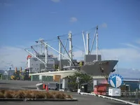Reefer ọkọ fun tita