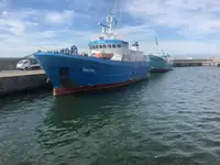 Reefer ọkọ fun tita