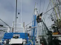 Ọkọ̀ tí ó mú ẹja fún tà