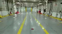 Ro-Ro ship fun tita