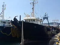 Ọkọ̀ tí ó mú ẹja fún tà