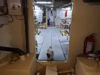 General Cargo/Multi-purpose fún tà