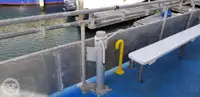 Catamaran fún tà