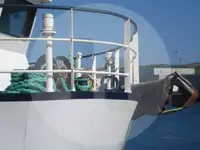 Ọkọ̀ tí ó mú ẹja fún tà
