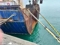 Ọkọ̀ tí ó mú ẹja fún tà
