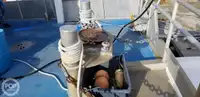 Catamaran fún tà