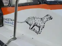 Catamaran fún tà