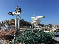 Ọkọ̀ tí ó mú ẹja fún tà