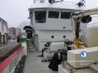 Ọkọ̀ tí ó mú ẹja fún tà
