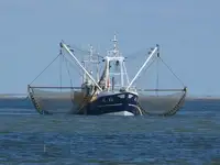 Trawler fun tita