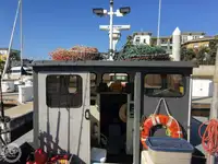 Ọkọ̀ tí ó mú ẹja fún tà