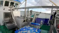 Ọkọ̀ tí ó mú ẹja fún tà