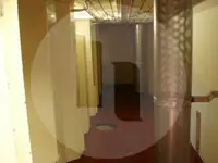 Ọkọ̀ tí ó mú ẹja fún tà