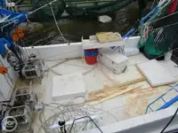 Ọkọ̀ tí ó mú ẹja fún tà