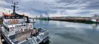 Catamaran fún tà